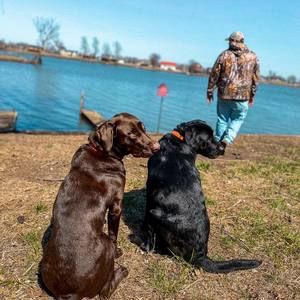 Meet your Posher, Jane